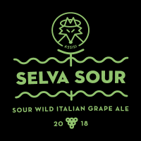 Пиво Selva Sour Пиво Selva Sour
