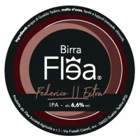 Пиво Federico II Extra