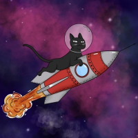 Пиво Black Cat On the Red Rocket