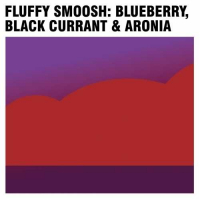 Пиво Fluffy Smoosh: Blueberry, Black Currant & Aronia