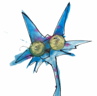 Пиво Fresh`N`Session