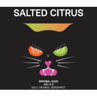 Пиво Salted Citrus