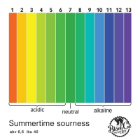 Пиво Summertime Sourness Пиво Summertime Sourness