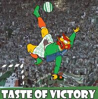 Пиво Taste of Victory