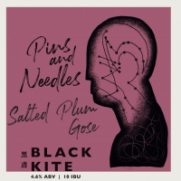 Пиво Pins And Needles Salted Plum Gose