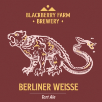Пиво Berliner Weisse V.3 Пиво Berliner Weisse V.3