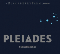 Пиво Pleiades