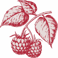 Пиво Raspberry Fields Пиво Raspberry Fields