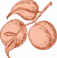 Пиво Something Sour