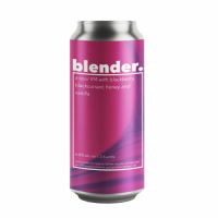 Пиво Blackberry, Blackcurrant, Honey and Vanilla Sour IPA
