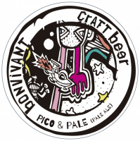 Пиво Pico & Pale