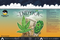Пиво INDYKA