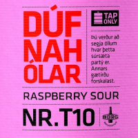 Пиво DÚFNAHÓLAR NR.T10 Пиво DÚFNAHÓLAR NR.T10