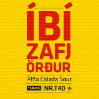 Пиво IBIZAFJÖRÐUR NR.T40