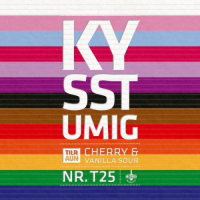 Пиво KYSSTU MIG NR.T25 Пиво KYSSTU MIG NR.T25