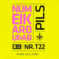 Пиво NÚ MEIKARÐU ÞAÐ NR.T22