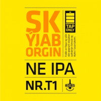 Пиво SKÝJABORGIN NR.T1