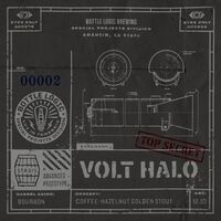 Пиво PROJECT PROTO: VOLT HALO Пиво PROJECT PROTO: VOLT HALO