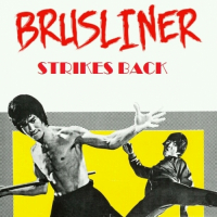 Пиво Brusliner Strikes Back (2016)