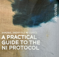 Пиво A Practical Guide To the NI Protocol