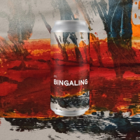 Пиво Bingaling Пиво Bingaling