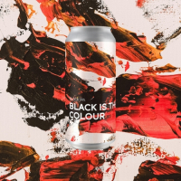 Пиво Black Is The Colour