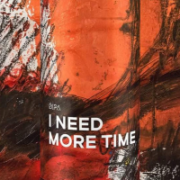 Пиво I Need More Time Пиво I Need More Time