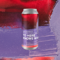 Пиво To Here Knows When