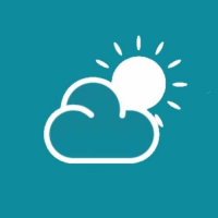 Пиво All Weather Conditions