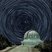 Пиво Patient Observer