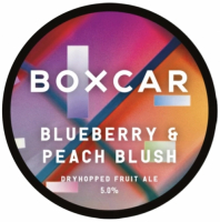 Пиво Blueberry & Peach Blush