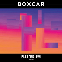Пиво Fleeting Sun