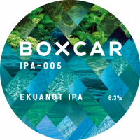 Пиво IPA-005 Ekuanot IPA