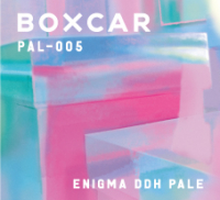 Пиво PAL-005 Enigma DDH Pale