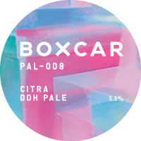 Пиво PAL-008 Citra DDH Pale