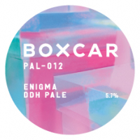 Пиво PAL-012 Enigma DDH Pale