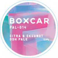 Пиво PAL-014 Citra & Ekuanot DDH Pale