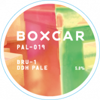 Пиво PAL-019 BRU-1 DDH Pale