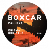 Пиво PAL-021 Enigma DDH Pale