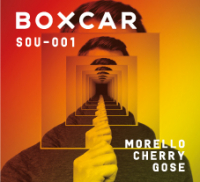 Пиво SOU-001 Morello Cherry Gose