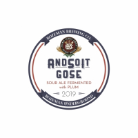 Пиво AndSoIt Gose Plum