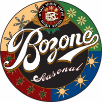 Пиво Bozone Nitro Stout Пиво Bozone Nitro Stout