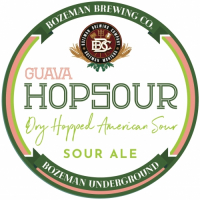 Пиво Hopsour Dry Hopped American Sour w/Guava Пиво Hopsour Dry Hopped American Sour w/Guava