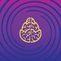 Пиво Blackberry Yuzu