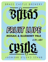Пиво Fruit Lupe (Mosaic & Blueberry)