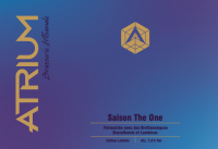 Пиво The One Brett