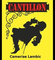 Пиво Camerise Lambic (2020)