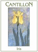 Пиво Iris (2022)