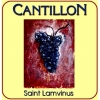 Пиво Saint Lamvinus (2010)