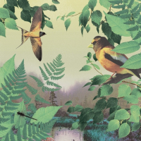 Пиво Forêt Boucher Пиво Forêt Boucher